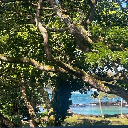 Ocean View Mauna Loa Shores Kai Ekahi #201 Next To Carlsmith Beach Park Hilo Hi Esterno foto