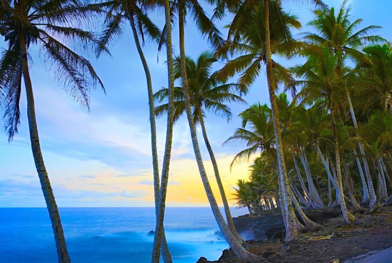 Ocean View Mauna Loa Shores Kai Ekahi #201 Next To Carlsmith Beach Park Hilo Hi Esterno foto