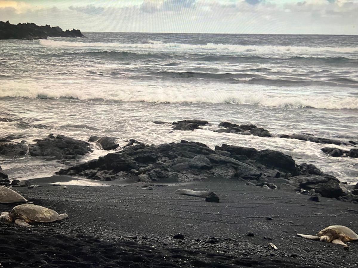 Ocean View Mauna Loa Shores Kai Ekahi #201 Next To Carlsmith Beach Park Hilo Hi Esterno foto