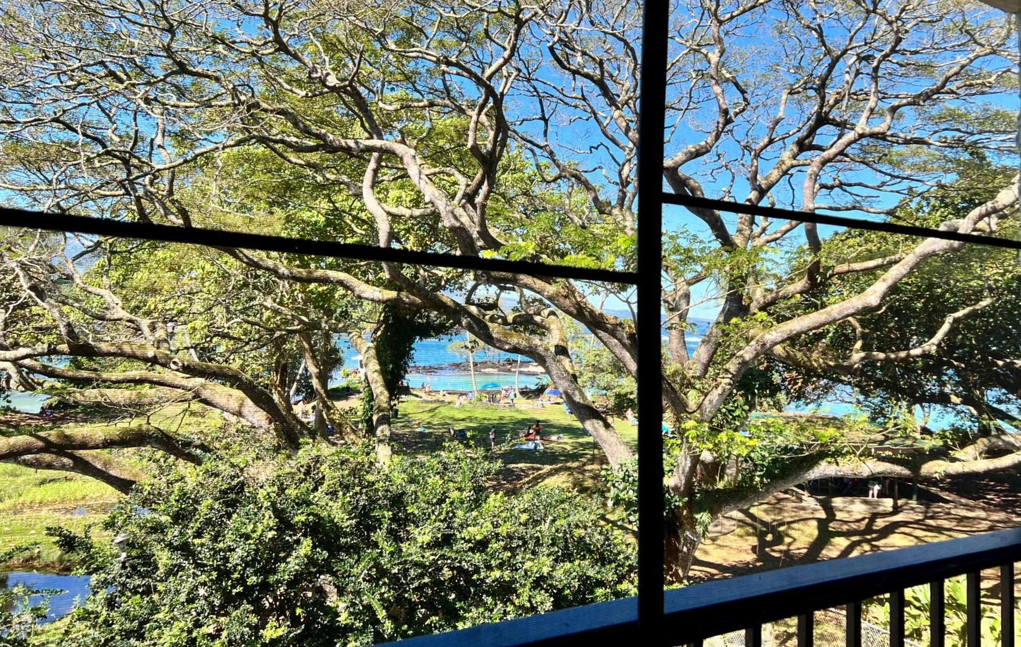 Ocean View Mauna Loa Shores Kai Ekahi #201 Next To Carlsmith Beach Park Hilo Hi Esterno foto