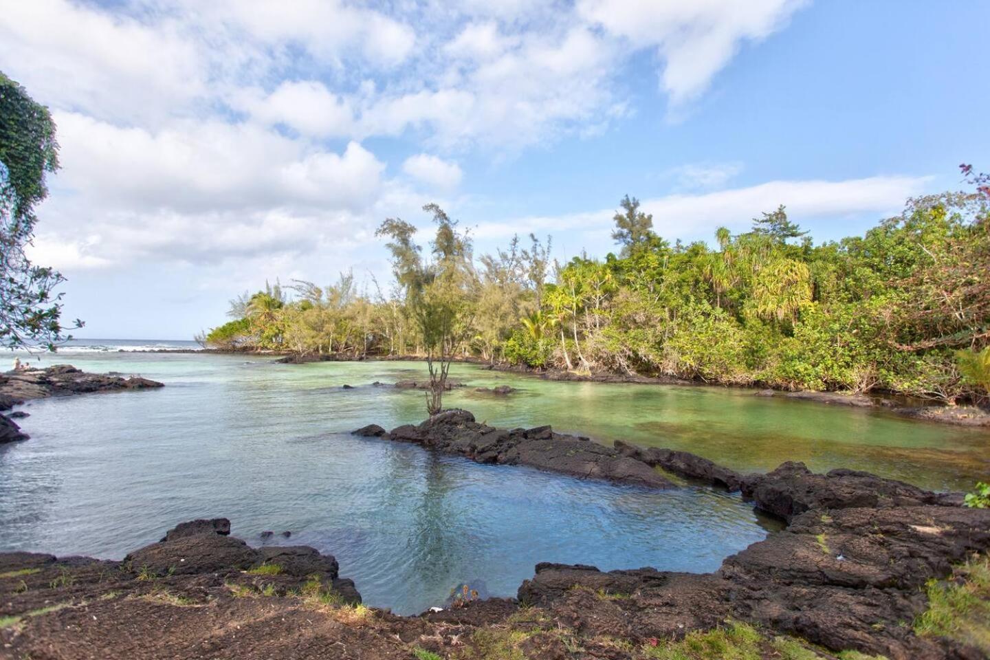 Ocean View Mauna Loa Shores Kai Ekahi #201 Next To Carlsmith Beach Park Hilo Hi Esterno foto