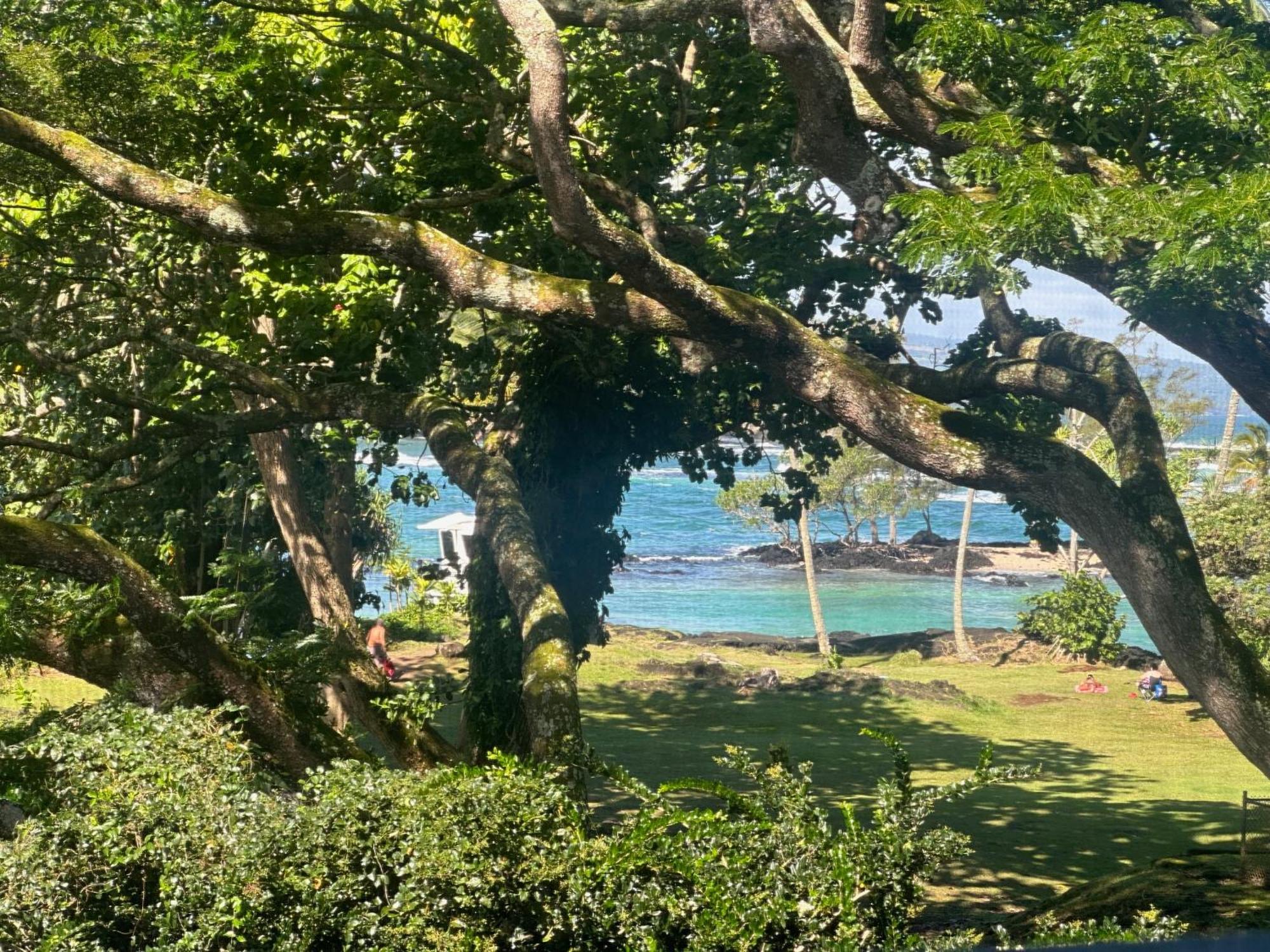Ocean View Mauna Loa Shores Kai Ekahi #201 Next To Carlsmith Beach Park Hilo Hi Esterno foto