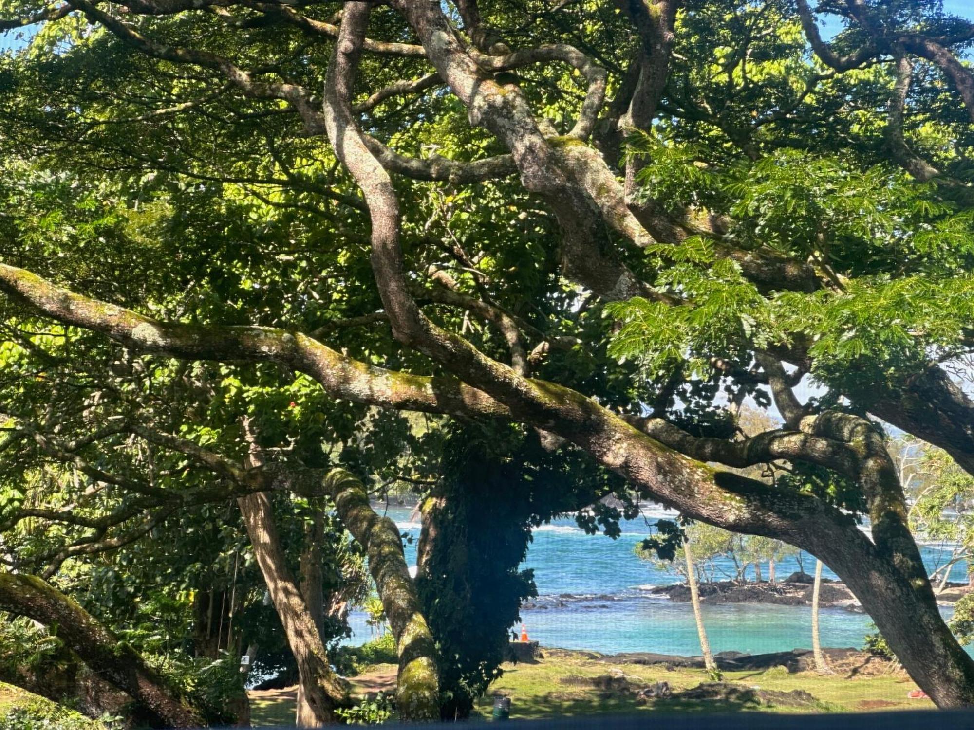 Ocean View Mauna Loa Shores Kai Ekahi #201 Next To Carlsmith Beach Park Hilo Hi Esterno foto